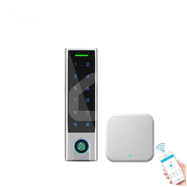 Praėjimo kontrolės klaviatūra IP45 Bluetooth TTLock + WiFi valdiklis