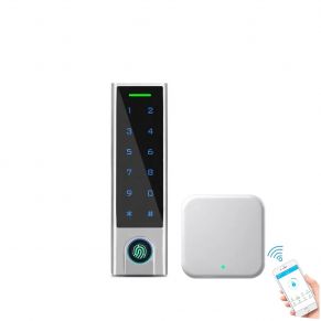 Praėjimo kontrolės klaviatūra IP45 Bluetooth TTLock + WiFi valdiklis
