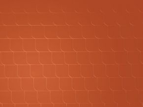 Universalus dengimas, fibrocementinės plokštelės Cedral