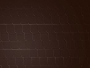 Universalus dengimas, fibrocementinės plokštelės Cedral