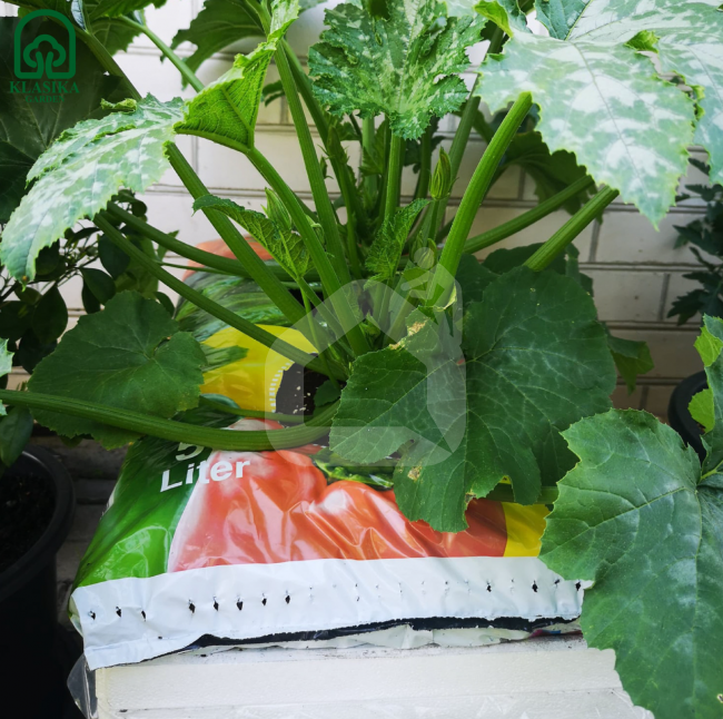 Žemių maišai augalams 50 L