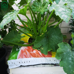 Žemių maišai augalams 50 L