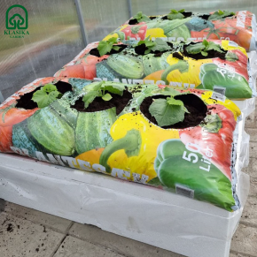 Augsnes maisi augiem 50 L