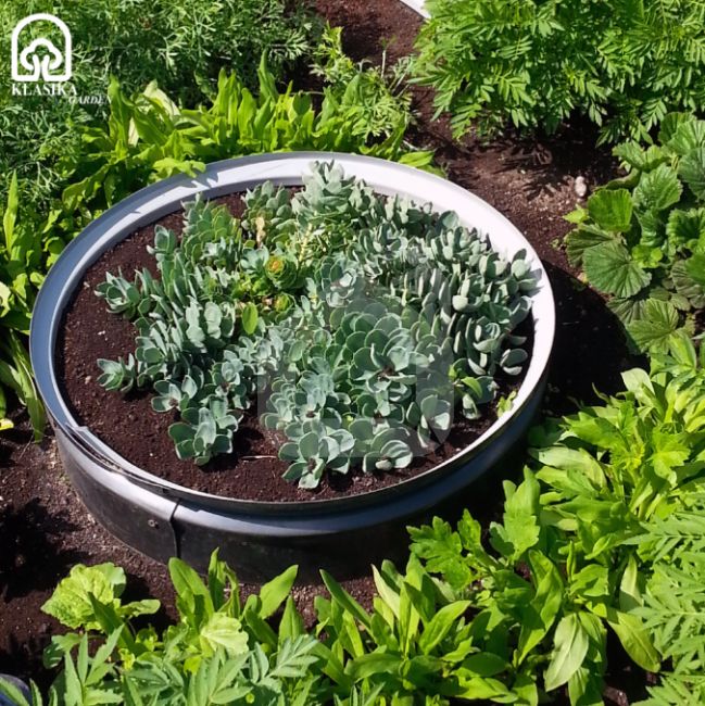 Metāla norobežojošais gredzens augiem