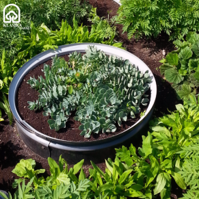 Metalinė užtvarėlė-žiedas augalams atskirti