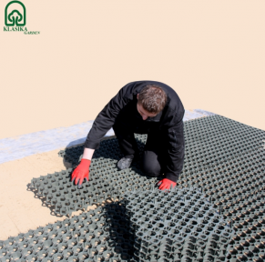 Žolės-vejos korys STELLA GREEN