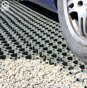 Žolės-vejos korys STELLA GREEN